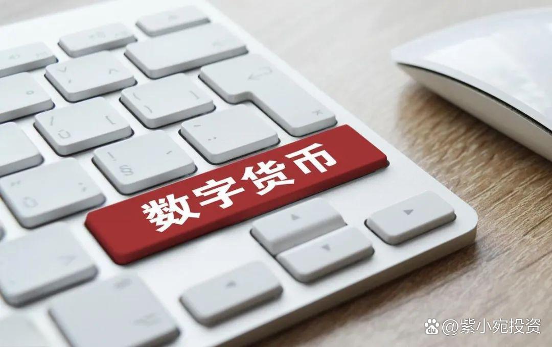 数字货币投资(数字货币投资是怎么回事)
