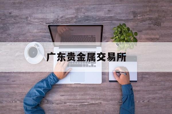 广东贵金属交易所(广东贵金属交易所赵昆最新消息)